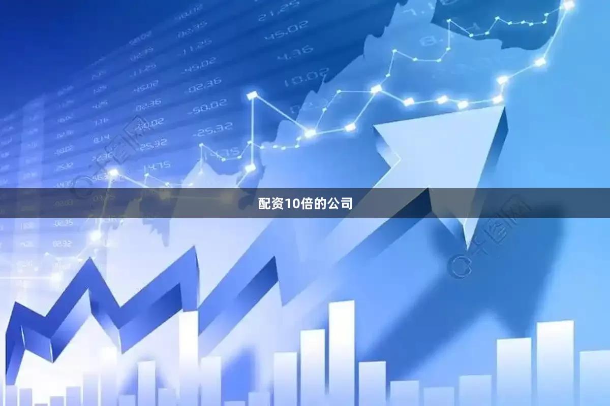 配资10倍的公司
